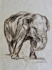 Elefant, Datum unbekannt