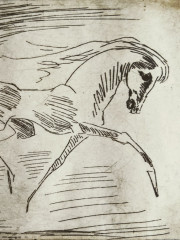 Pferd im Lauf, Radierung, 1982